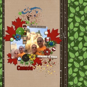 Selfie 2015: Canada pavilion