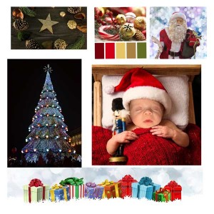 Lilypad-moc-6-day-3-mood-board