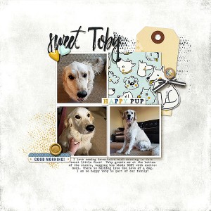MOC6 Day 4- Sweet Toby