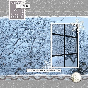 Jan4_MOC_photography_web