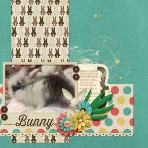 Our Baby Bunny