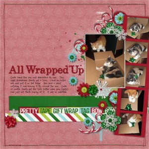 All Wrapped Up