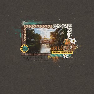 MOC 6:5 | People-less Photo Challenge | Wild Sunset