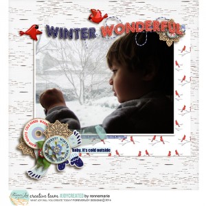 WINTER BIRD WATCHING