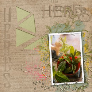Herbs-MOC #4