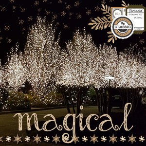 Day-5-no-people-magical