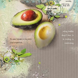Avocado