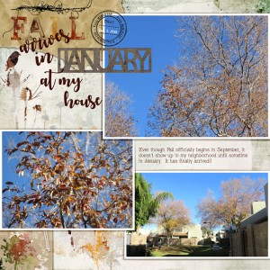 JANUARY 5 - PEOPLE-LESS PAGE (PHOTOGRAPHY-CHALLENGE)