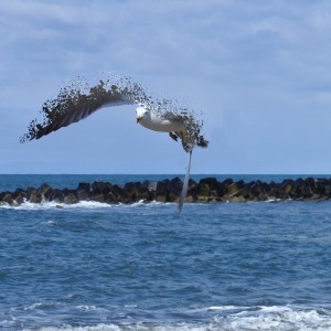 Dispersion Maybesm