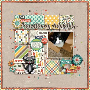 Pawsitively Adorable - January 4: Change Your View (Photography Challenge)