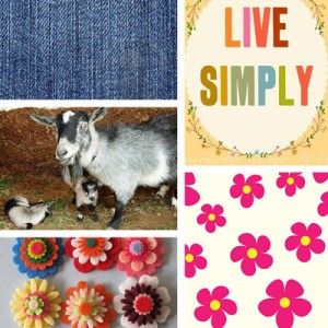 snappy2003's moodboard