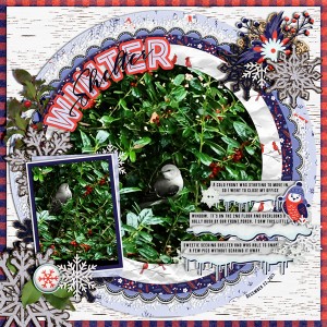 DAY 04_CHANGE YOUR VIEW_A Winter Bird In the Holly Bush (londoncuppa)