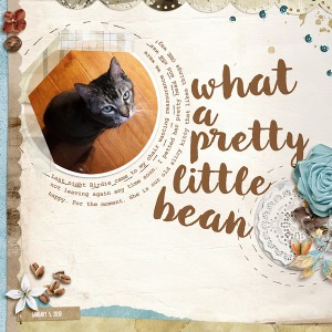 MOC6-4 Pretty Bean