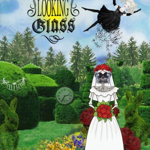 MOC6-Day-#6-Through The Looking Glass