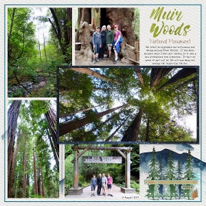 Muir Woods