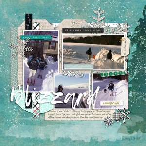 Blizzard96Jan2018_SwL