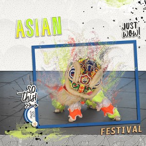 Asian Festival 2013