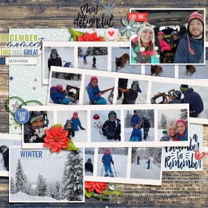 Snow Delightful