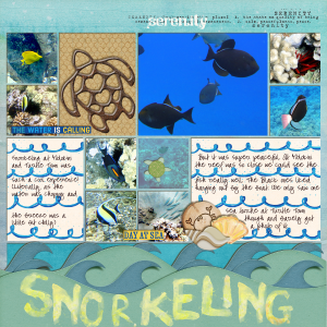 Snorkeling (MOC6 Day 5 no people)