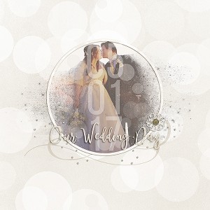 Our Wedding Day - MOC6.6