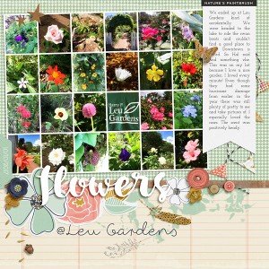 MOC6-7 Flowers at Leu Gardens