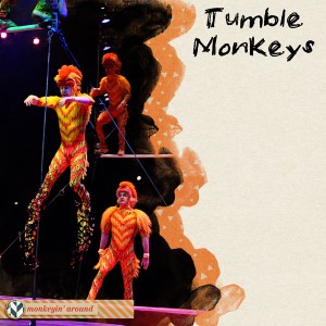 MOC06 - Tumble Monkeys