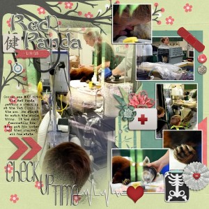 Red Panda Check Up