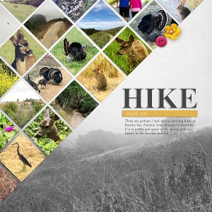 Hike