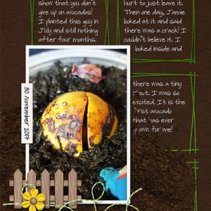 MOC6 Day 5 | Look at my Avocado