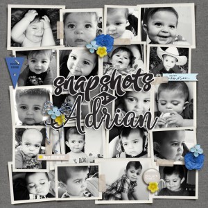 Snapshots
