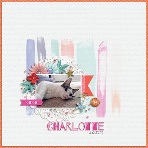 charlotte