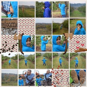 MOC Jan 7 2018 Collage (large Number Photos)