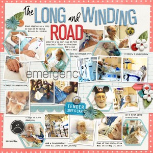 The Long and Winding Road - MOC-Jan 7-Collage