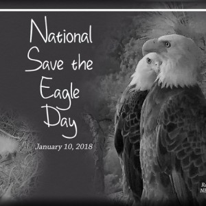 ATC-2018-008-National-Save-the-Eagle-Day