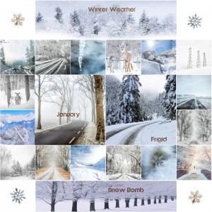 MOC6-Day7-Collage-Large Number Of Photos-January Collage