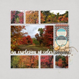 an explosion of color