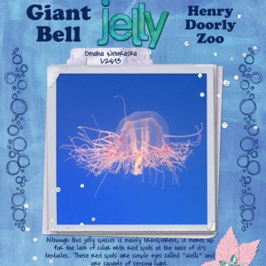 Giant-Bell-Jelly (MOC#6-8)