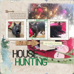 House Hunting