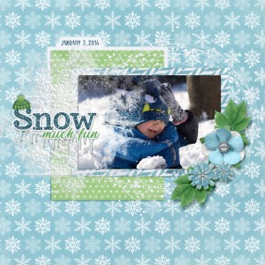Snow-much-fun