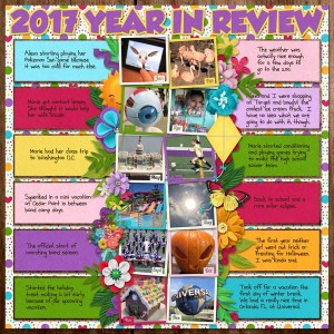 2017 Year In Review
