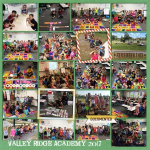 2017 VRA