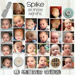 Three Months