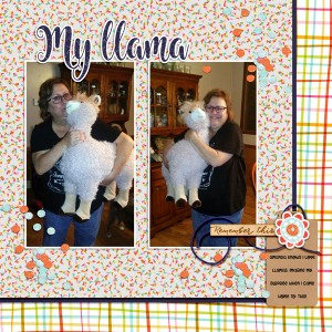 Llama