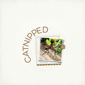 MOC6-10: Catnipped