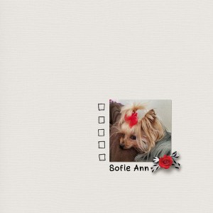 Sofie Ann