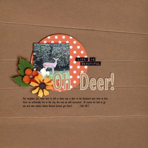 Oh Deer