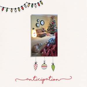 Anticipation