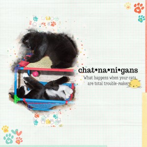 Chatnanigans