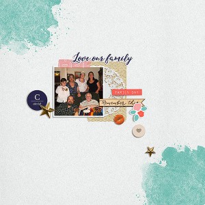 Love Our Family