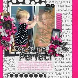 Picture Perfect